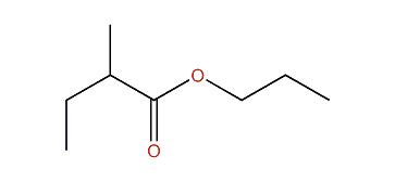 Propyl 2-methylbutanoate